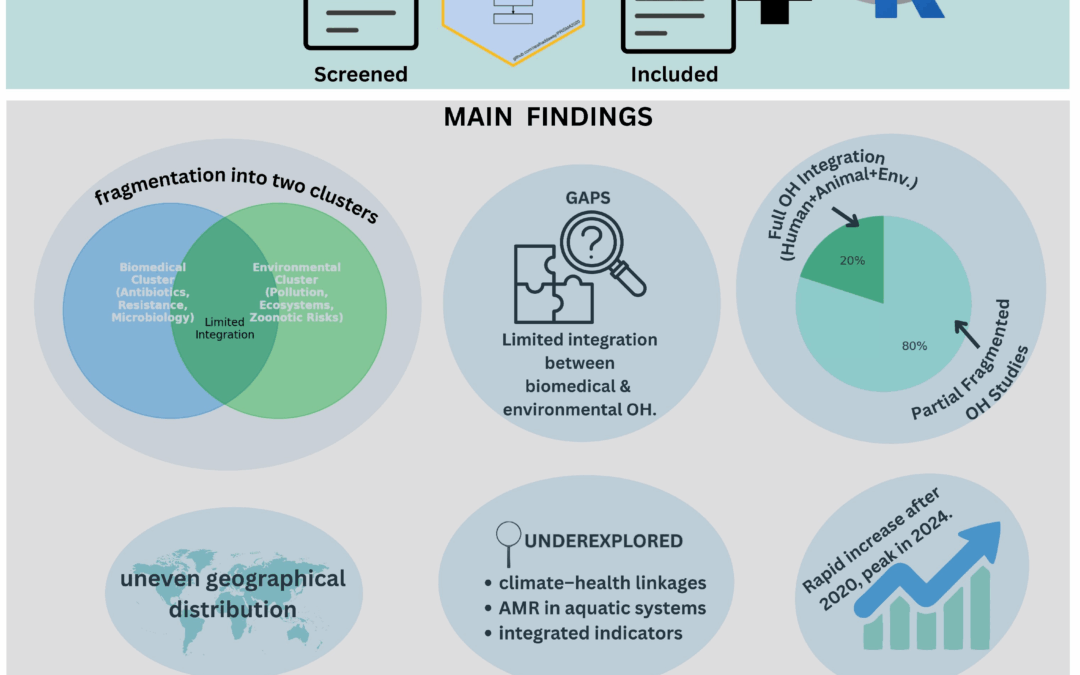 From Microbes to Coastlines: UTH Researchers Chart Global One Health Trends in Our Oceans